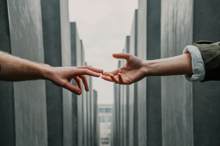 implementation partner